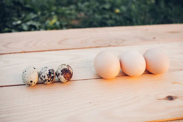 Closeup Quail Chicken Eggs — стоковое фото