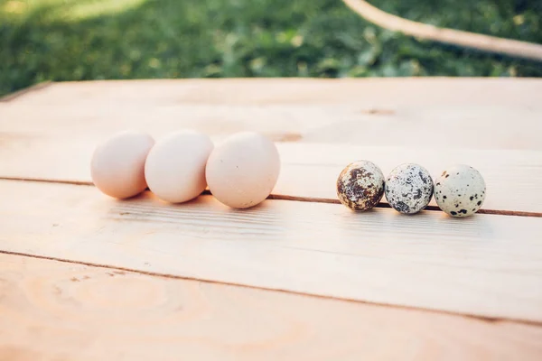 Closeup Quail Chicken Eggs — стоковое фото