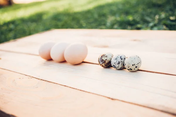 Closeup Quail Chicken Eggs — стоковое фото