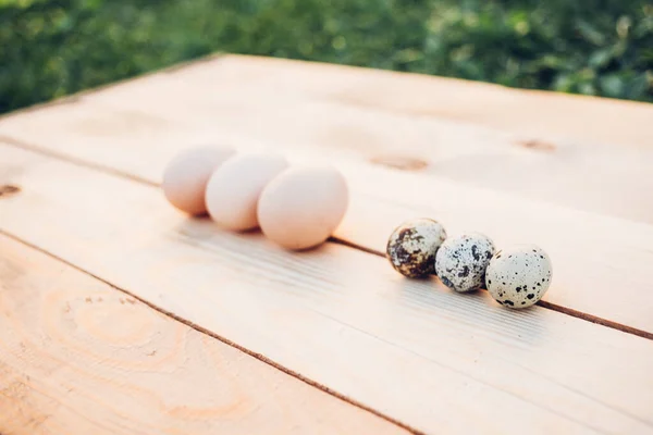 Closeup Quail Chicken Eggs — стоковое фото