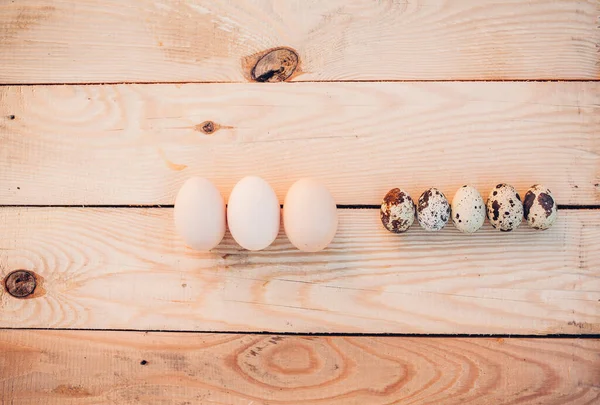 Closeup Quail Chicken Eggs — стоковое фото