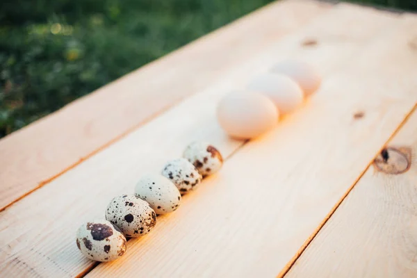 Closeup Quail Chicken Eggs —  Fotos de Stock