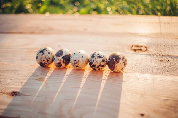 Kwarteleitjes Houten Ondergrond — Stockfoto