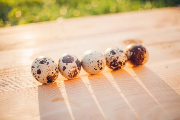 Kwarteleitjes Houten Ondergrond — Stockfoto