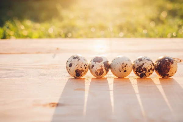 Kwarteleitjes Houten Ondergrond — Stockfoto