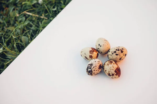 Huevos Codorniz Sobre Fondo Blanco — Foto de Stock