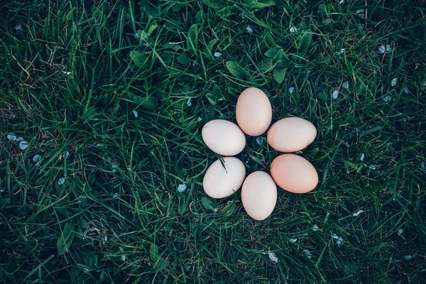 Ovos Galinha Crus Grama Conceito Decoração Páscoa — Fotografia de Stock