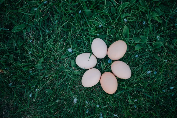 Сырые Куриные Яйца Траве Пасхальное Украшение Концепции — стоковое фото