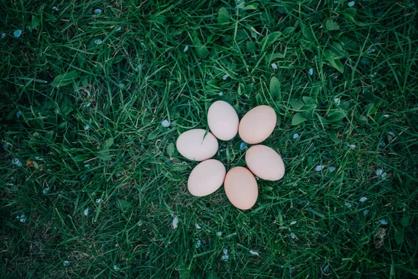 Сырые Куриные Яйца Траве Пасхальное Украшение Концепции — стоковое фото