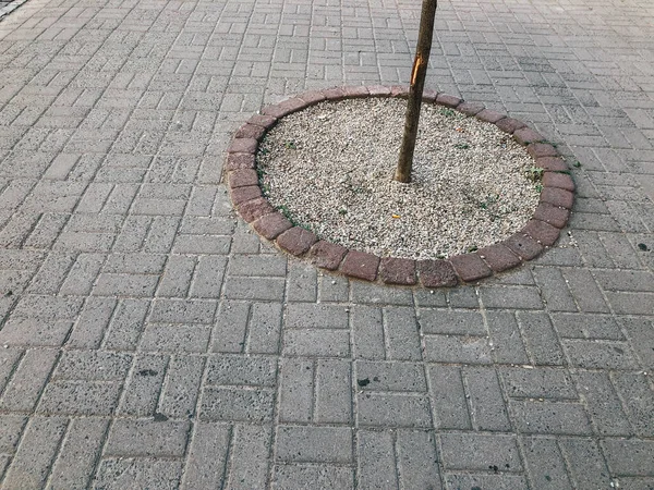 Stenen Van Wandelpad Stadspark Overdag — Stockfoto