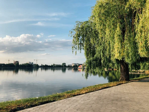 Parktaki döşeme ve döşeme yolu ile süslenmiş
