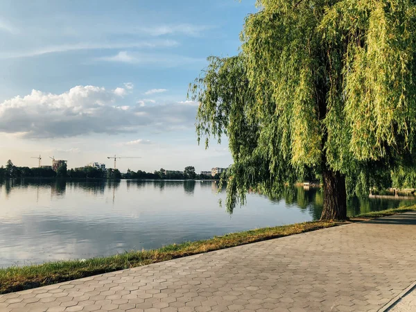 Parktaki döşeme ve döşeme yolu ile süslenmiş