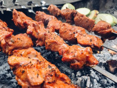 Şiş kebap doğada ızgarada kızarıyor.