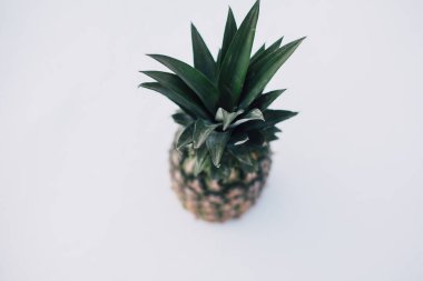 Güneş ışığında taze ananas ve kardan oluşan kış manzarası. Beyaz kar konseptinde tropikal meyve