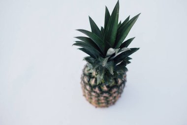 Güneş ışığında taze ananas ve kardan oluşan kış manzarası. Beyaz kar konseptinde tropikal meyve