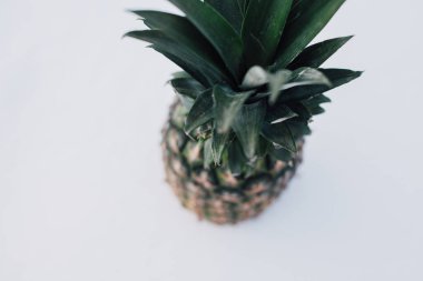 Güneş ışığında taze ananas ve kardan oluşan kış manzarası. Beyaz kar konseptinde tropikal meyve
