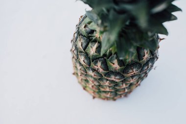 Güneş ışığında taze ananas ve kardan oluşan kış manzarası. Beyaz kar konseptinde tropikal meyve