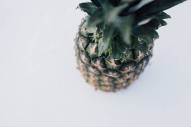 Güneş ışığında taze ananas ve kardan oluşan kış manzarası. Beyaz kar konseptinde tropikal meyve