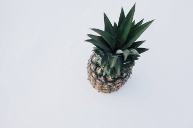 Güneş ışığında taze ananas ve kardan oluşan kış manzarası. Beyaz kar konseptinde tropikal meyve