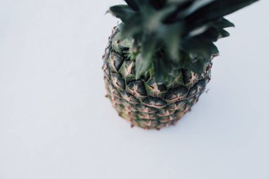 Güneş ışığında taze ananas ve kardan oluşan kış manzarası. Beyaz kar konseptinde tropikal meyve