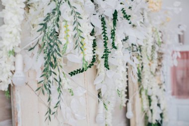 Stüdyo dizaynında çiçekler, iç dekorasyon. 