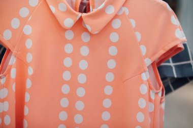 Soyunma odasında giysi koleksiyonu, kadın elbiseleri... 