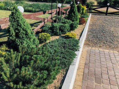 Yeşil bitkilerle dolu bahçe taşı patikası, gündüz vakti tuğla kaldırım. 