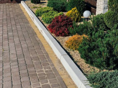 Yeşil bitkilerle dolu bahçe taşı patikası, gündüz vakti tuğla kaldırım. 