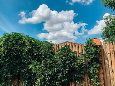 Mavi bulutlu gökyüzünün arka planında ahşap çit