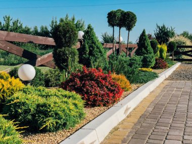 Şehir parkında gündüz vakti renkli bitkiler 