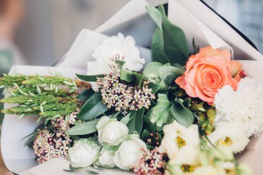 Renkli yaz çiçekleri, yakın çekim.