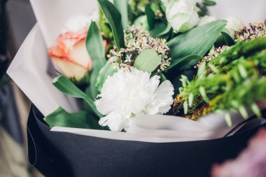 Renkli yaz çiçekleri, yakın çekim.