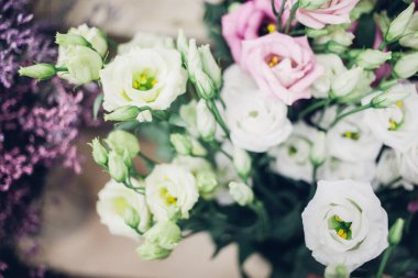 Renkli yaz çiçekleri, yakın çekim.