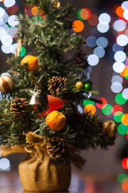 Noel ve Yeni Yıl tatili geçmişi. Dairenin içinde kış mevsimi ağacı