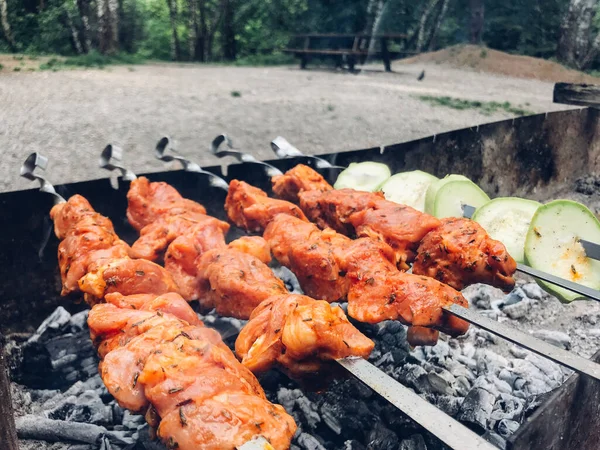 Shish Kebab Pečení Grilu Přírodě — Stock fotografie