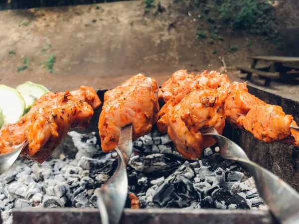 Shish Kebab Rostning Grillen Naturen — Stockfoto