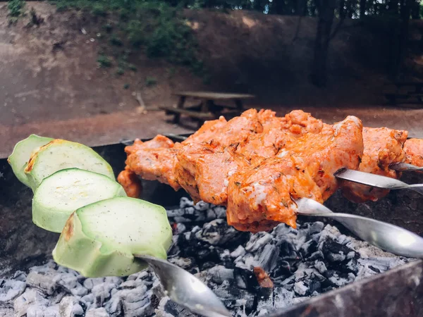 Shish Kebab Roosteren Grill Natuur — Stockfoto