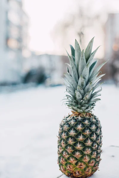 Winter Landscape Made Fresh Pineapple Snow Sunlight Tropical Fruit White — Stock Photo, Image