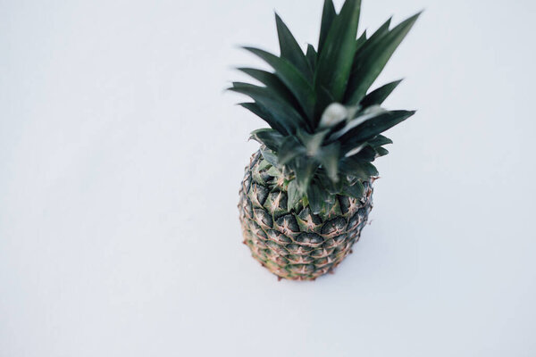 Winter landscape made of fresh pineapple and snow in the sunlight. Tropical fruit on white snow concept