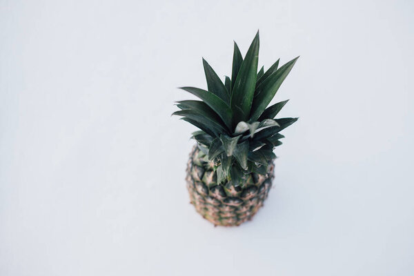 Winter landscape made of fresh pineapple and snow in the sunlight. Tropical fruit on white snow concept