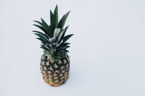 Winter landscape made of fresh pineapple and snow in the sunlight. Tropical fruit on white snow concept