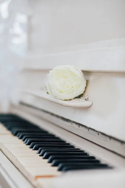 Pianotoetsen Witte Kleur Decoraties Studio — Stockfoto