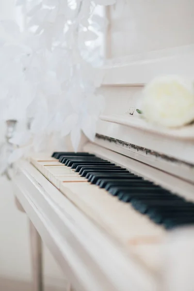 Piano Keys White Color Decorations Studio — 스톡 사진