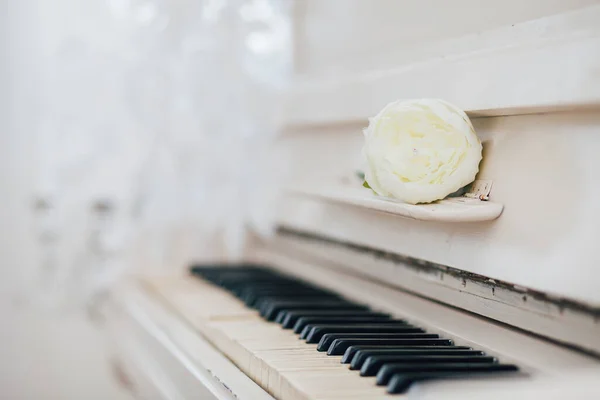 Piyano Anahtarları Beyaz Renk Stüdyoda Süslemeler — Stok fotoğraf
