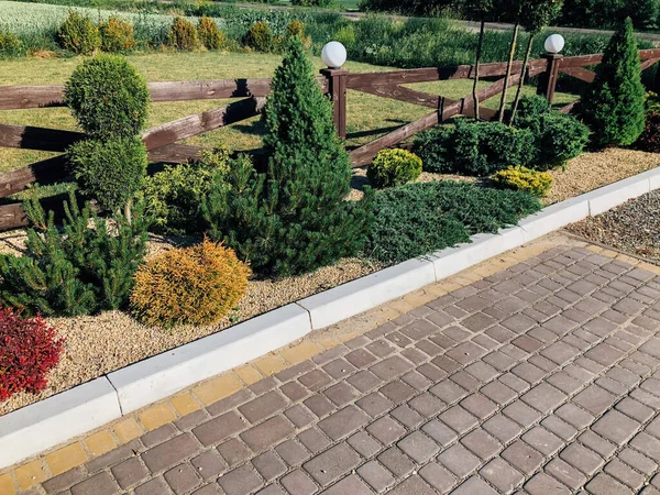 Garden Stone Path Green Plants Brick Sidewalk Daytime — Stock Photo, Image