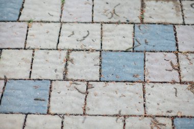 Gündüz vakti şehir parkında yürüyüş yolu taşları 