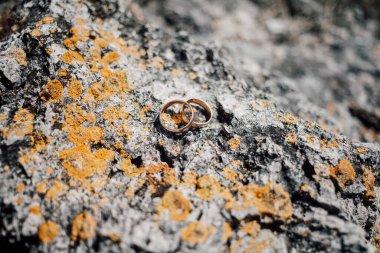Altın alyanslar taşın üstünde, yakın çekim. 