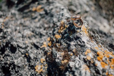 Altın alyanslar taşın üstünde, yakın çekim. 