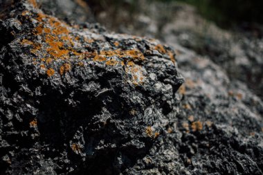 Doğal taş dokusu, kaya yüzeyi, doğa arka planı.