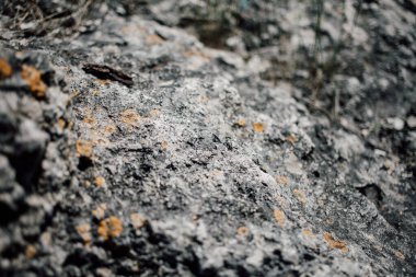 Doğal taş dokusu, kaya yüzeyi, doğa arka planı.